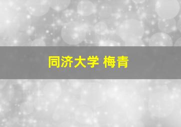 同济大学 梅青